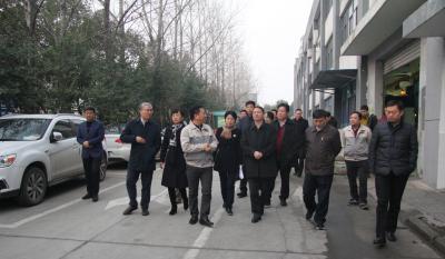 十年mg冰球突破伴我行 又添春雨沐东风 ——记天津津南区党政代表团光临合肥mg冰球突破调查领导